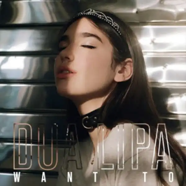 Instrumental: Dua Lipa - Want To (Produced By Stephen Kozmeniuk & ADP)